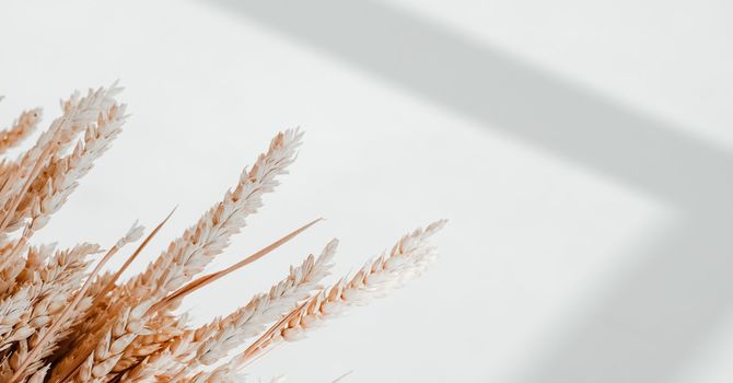 Micro-needling