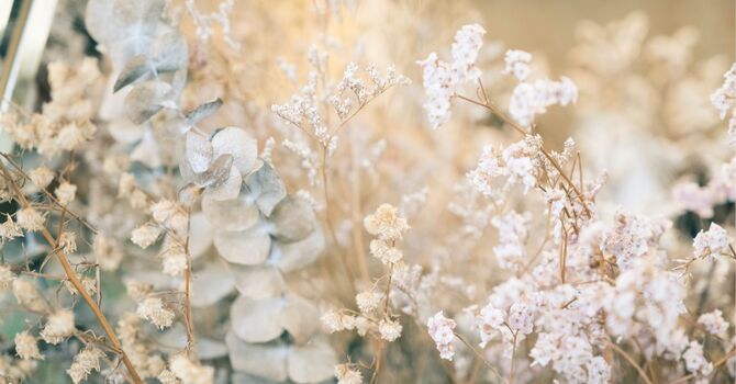 Permanent Makeup Artist